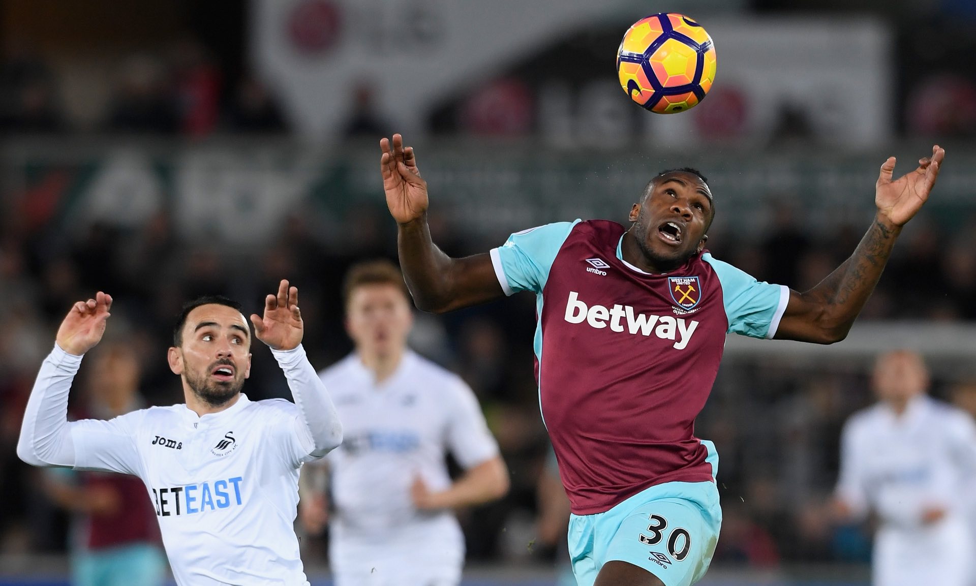 更加多樣化 更加多樣化